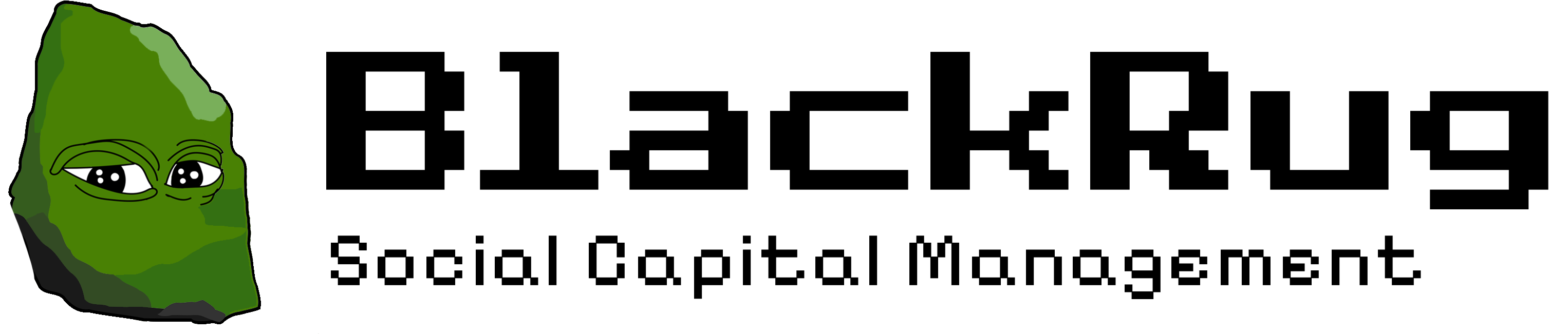 BlackRug Social Capital Management logo